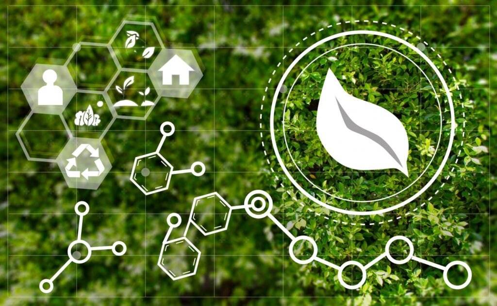 How biomass enables the development of a hydrogen-based economy